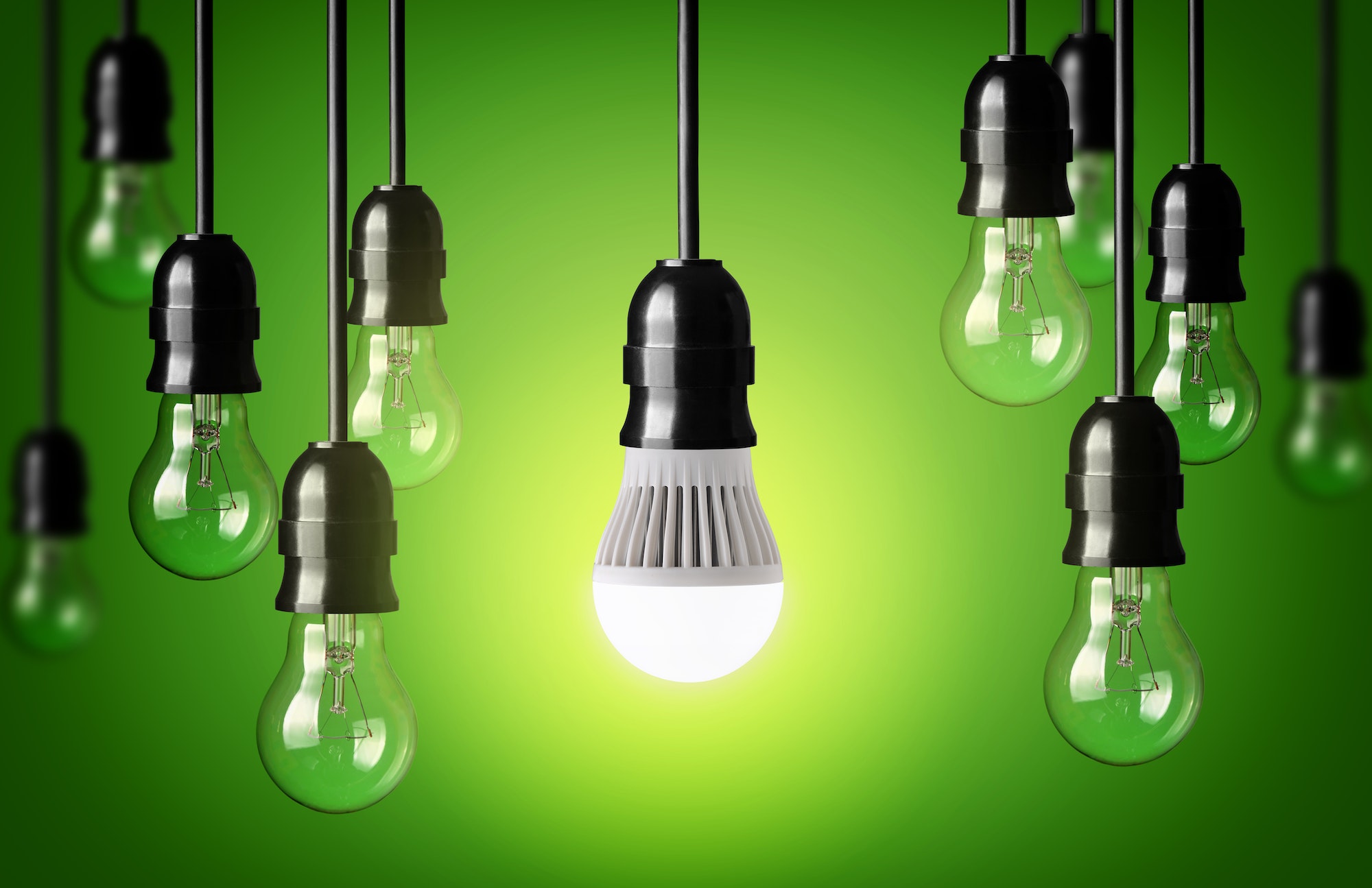 Lampadina LED accesa tra lampadine verdi spente.